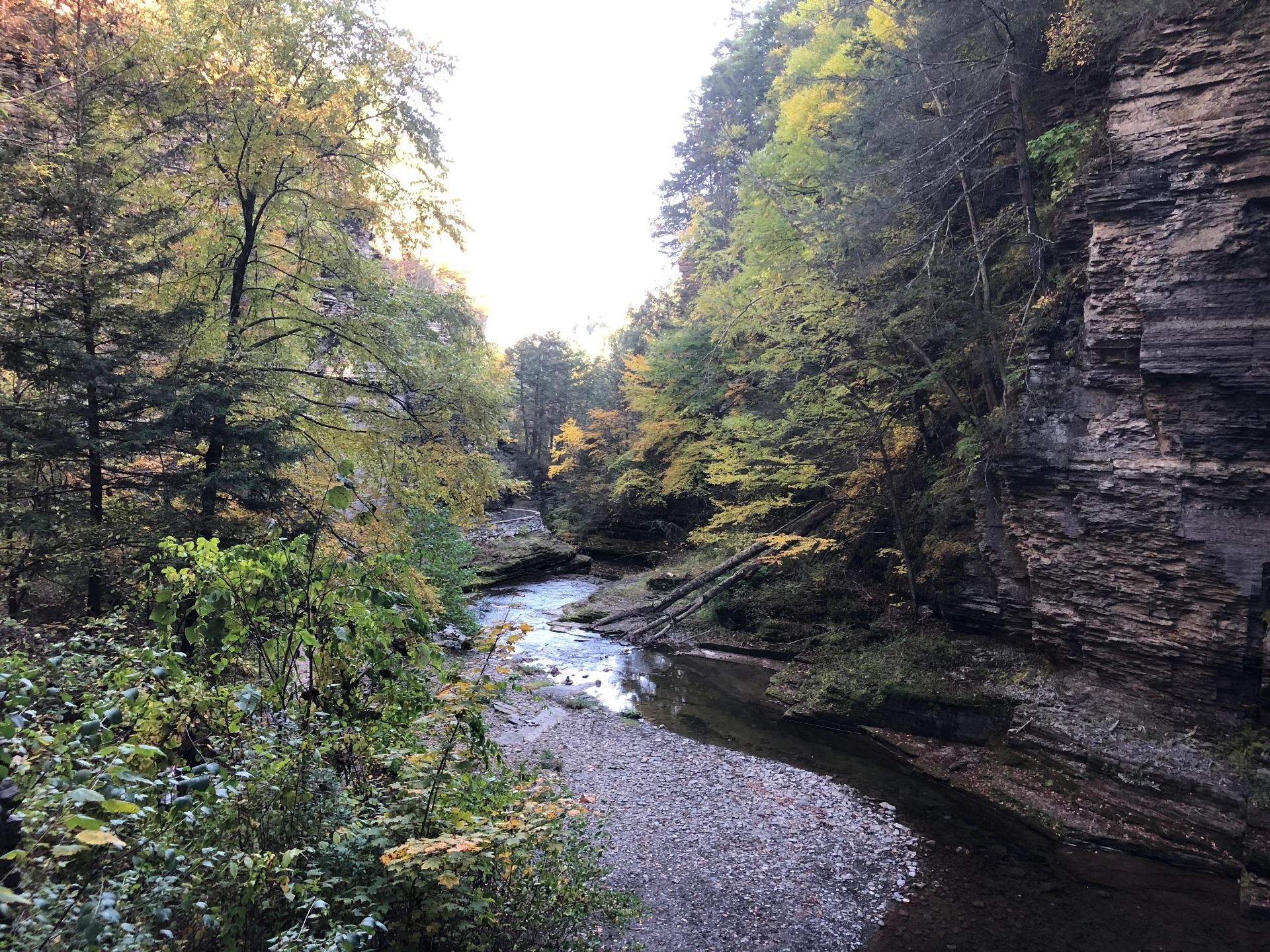 A river running through a rocky, forested gorge